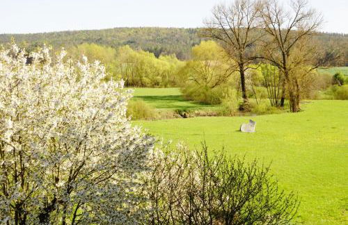 Gästehaus Roensch - Foto 33