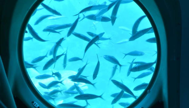 Uno de los ojos de buey del submarino