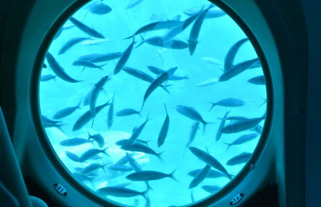 Hurghada Submarine Tour - Photo 4