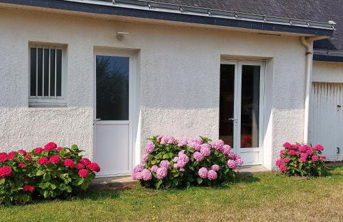 Les Avocettes - Foto 12