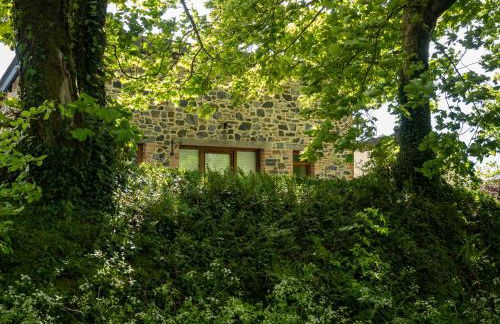 Dartmoor Inn - Foto 41