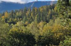 Heart of Polen appartements z widokiem na Śnieżne Kotły - Foto 70