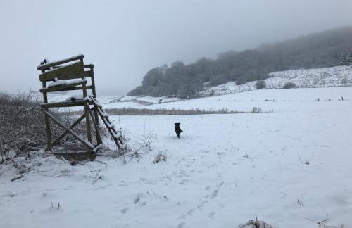 Ferienwohnungen BECKENDORF Schiller - Foto 17