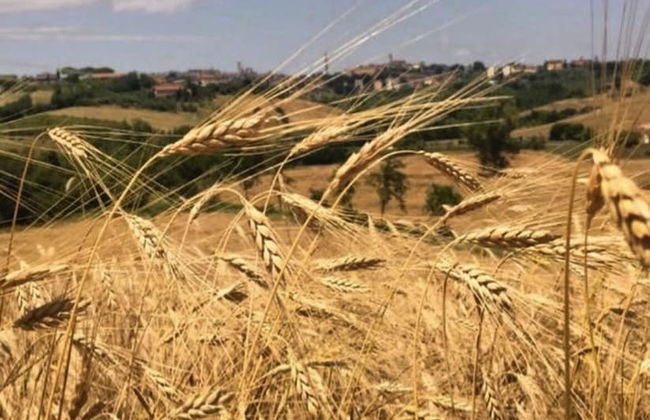 Agriturismo La Corte del Sole - Photo 66