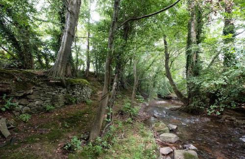Luxury Cottage near Hay-on-Wye - Foto 23