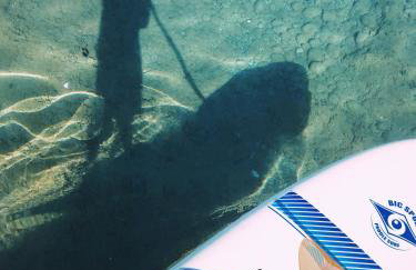 The Artist's Farm - Foto 57