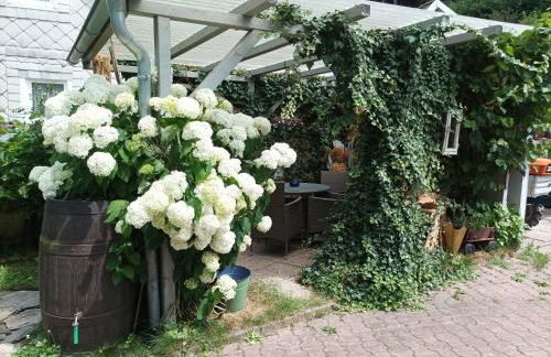 FeWo ,,An der kleinen Wilde'' - Foto 22