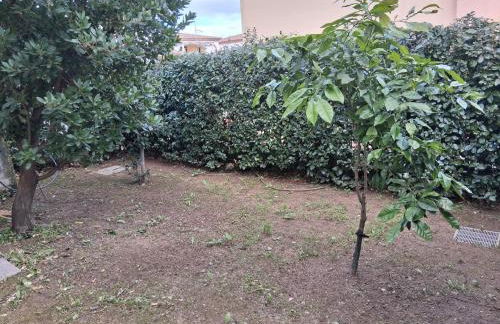 Casamare Roby - Foto 13