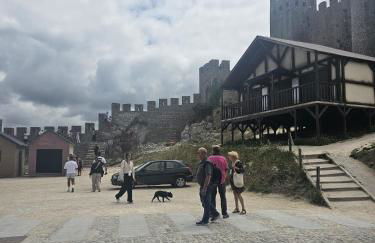 Sunflower Castle View in Óbidos - Foto 35