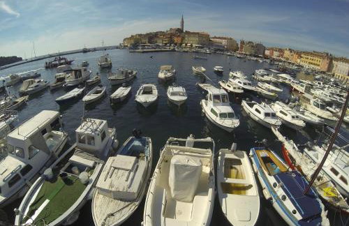 apartma Jelka - Foto 43