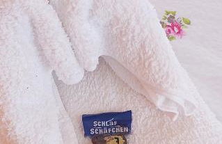 Cosis Ferienwohnung - Foto 9