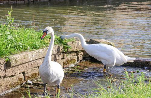 The Swans Nest Lock View - Foto 38