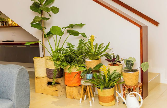 Greenleaf Residence - Photo 19