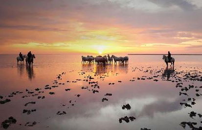 Un Petit Coin de Provence - Istres - Maison Contemporaine Avec Piscine Privée Chauffée, Entre Plages Et Provence, Borne 11 kW - Foto 45