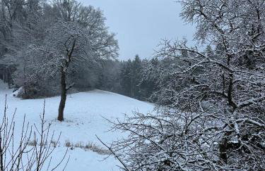 Apartment Waldblick - Entspannung auf dem Land - Foto 32