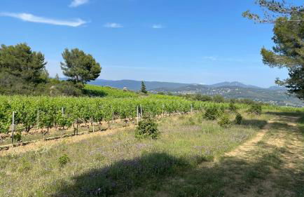 Villa Bel Air - Foto 15