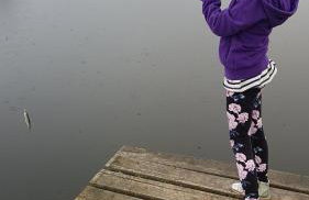 Jaskółka - pokoje i apartament przy plaży - Photo 42