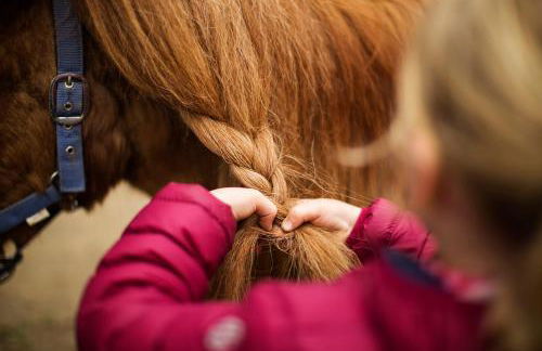 Birkenhof - Ferienhof, Landcafe und Rösterei - Photo 11