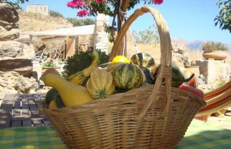 Orgon Farm Country Houses - Foto 26