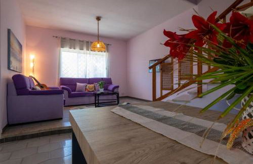 Butterfly House - Photo 21