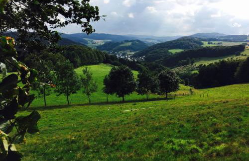 Waldläufer Brilon - Foto 43