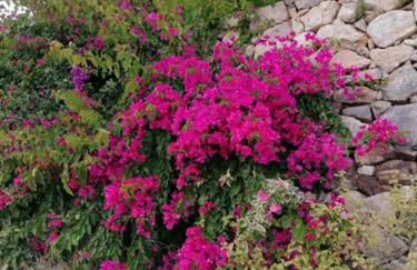 Casa Sophie Albufeira Apartment With 2 Bedrooms - Foto 57