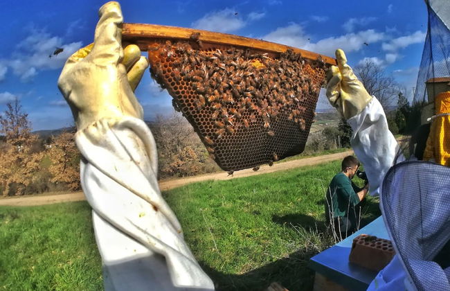 Fattoria Santa Vittoria Apartment Gazza - Foto 22