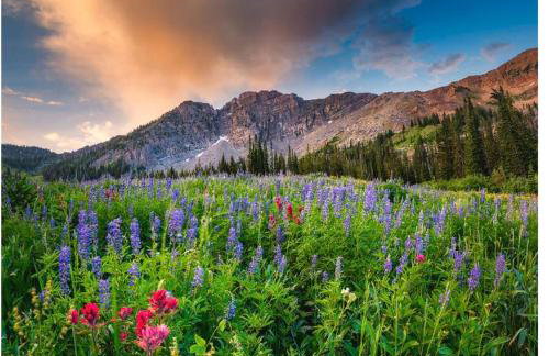 Fly Away Home - Foto 58