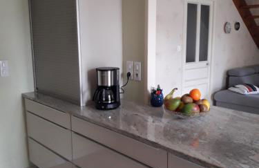 Le logis de LANGE apt Les Aigrettes - Foto 8