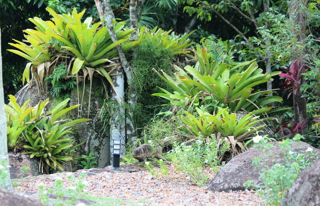 Sítio Rodamonte - Foto 19