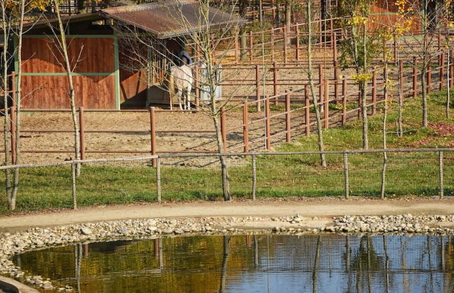 Agriturismo Corte Benetti - Foto 47