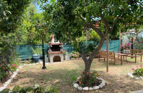 Delfinia Studios - Foto 9