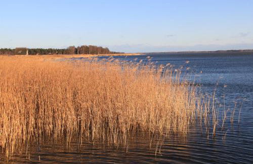 Haus "üm de Eck" - Die Kapitänswohnung - Foto 41
