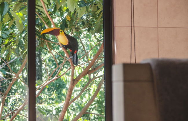 Vista Oceana, Stunning Ocean View Villa - Foto 4