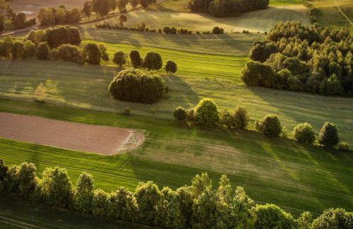 Dylewianka - Foto 47