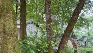 Chalet Bosco Magico Roccolo - Foto 2