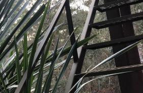 Chalé com Vista para Vinhedo e Natureza - Foto 47