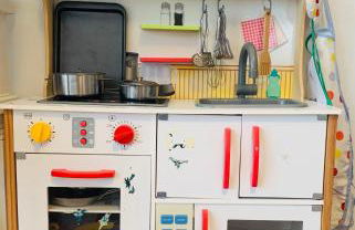 Anjú-Pardal - Foto 19