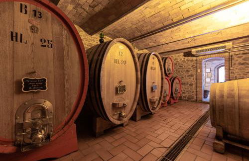 Apartment Bandiera by Interhome - Foto 31