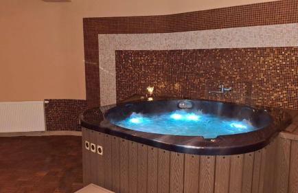 Zajazd Bieszczadzka Ostoja - Foto 55