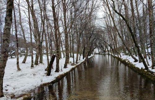 Cabeço das Fráguas - apartamento centro cidade da Guarda - Foto 80