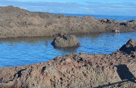 La Guarida de Alcalán - Photo 25