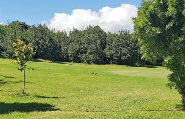 Ferns & Frogs Forest Hale 3 Bedroom Home by RedAwning - Foto 24