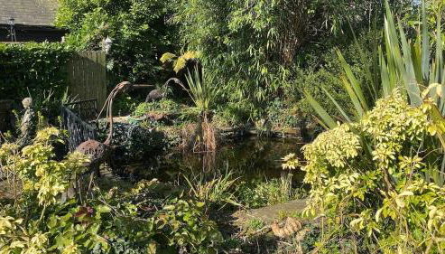 Holdfast Cottage in the heart of The New Forest - Foto 5, Garden, Garden view