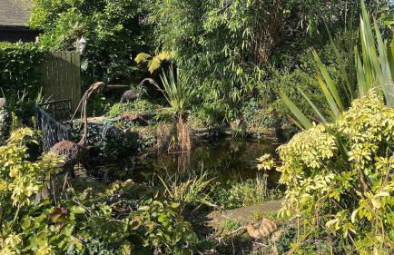 Holdfast Cottage in the heart of The New Forest - Photo 5