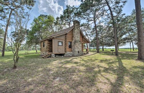 Quaint and Quiet Belleview Cabin on 35 Acres! - Foto 21