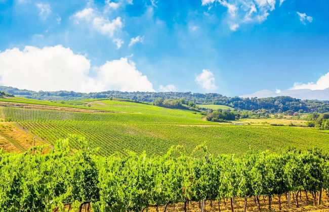 Rustic Farmhouse in Terricciola - Foto 35