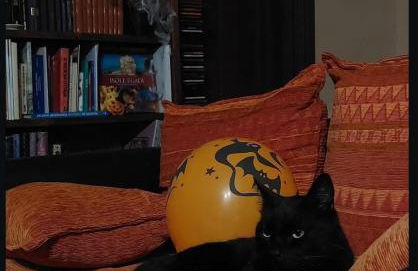 La Taverna dell'Oasi - Foto 12