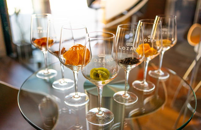 Bodegas Lozano - Foto 8