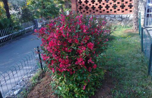 Ika Blue Studio - Photo 43